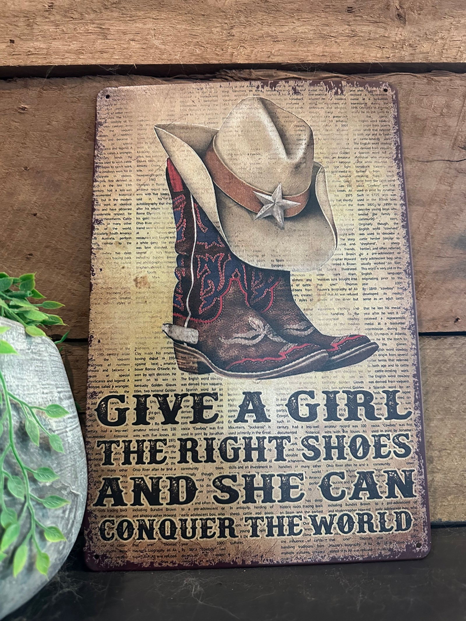 Tin Sign Give A Girl