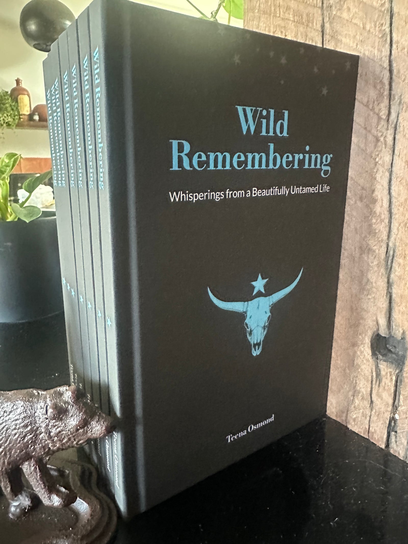 Wild Remembering - Surf meets Southwest