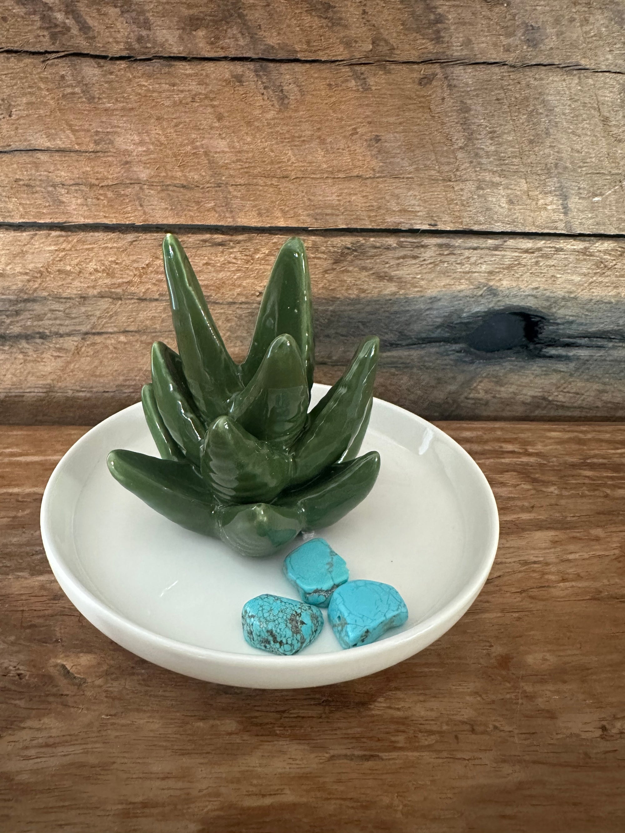 Cactus Tray