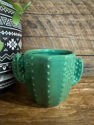 Cactus Pot