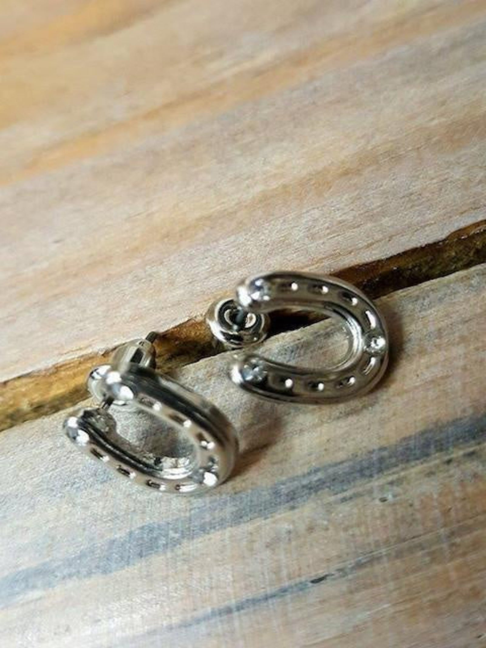 Horseshoe Earrings - Surf meets Southwest