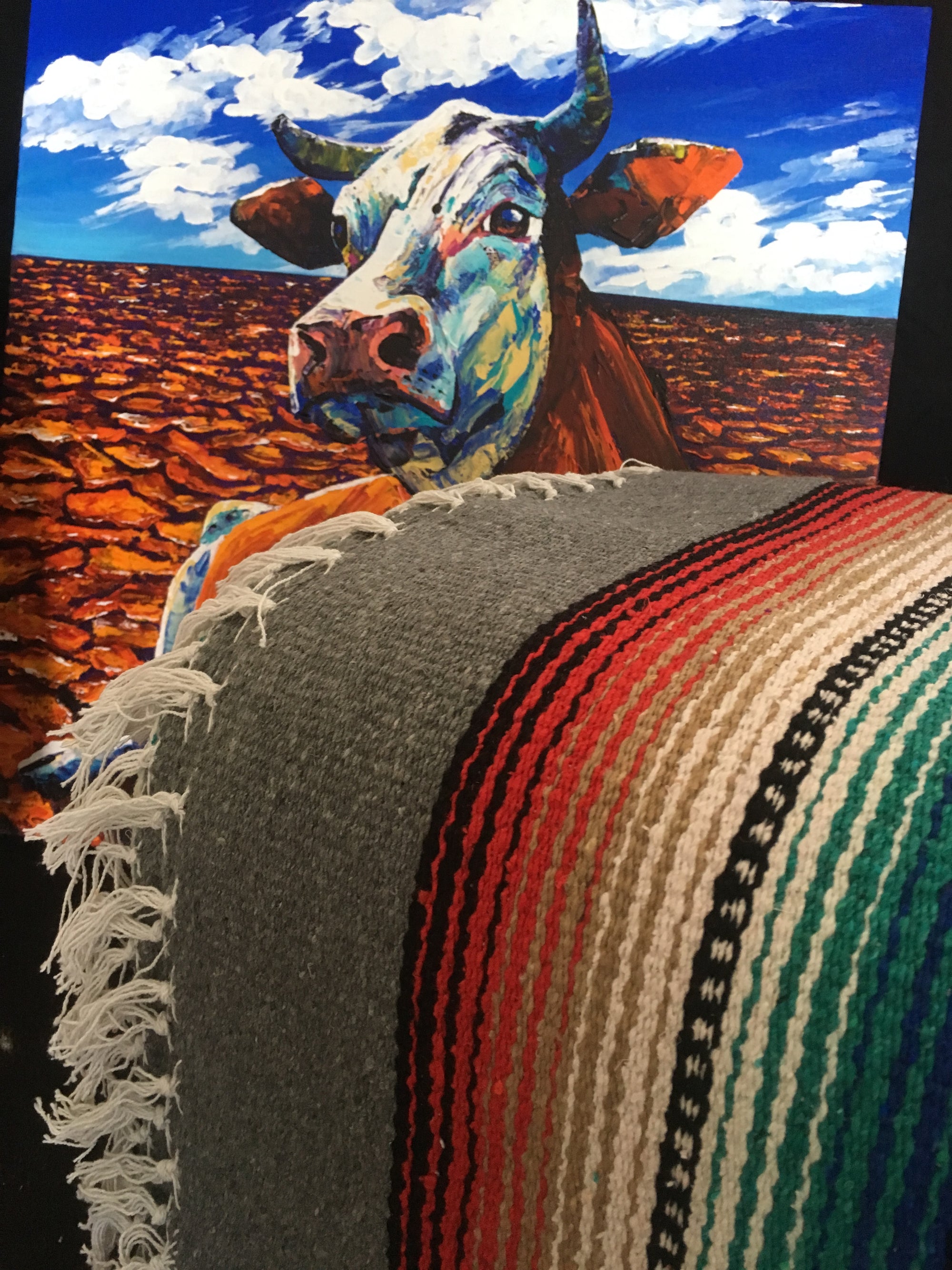 Bravo Blankets - Surf meets Southwest
