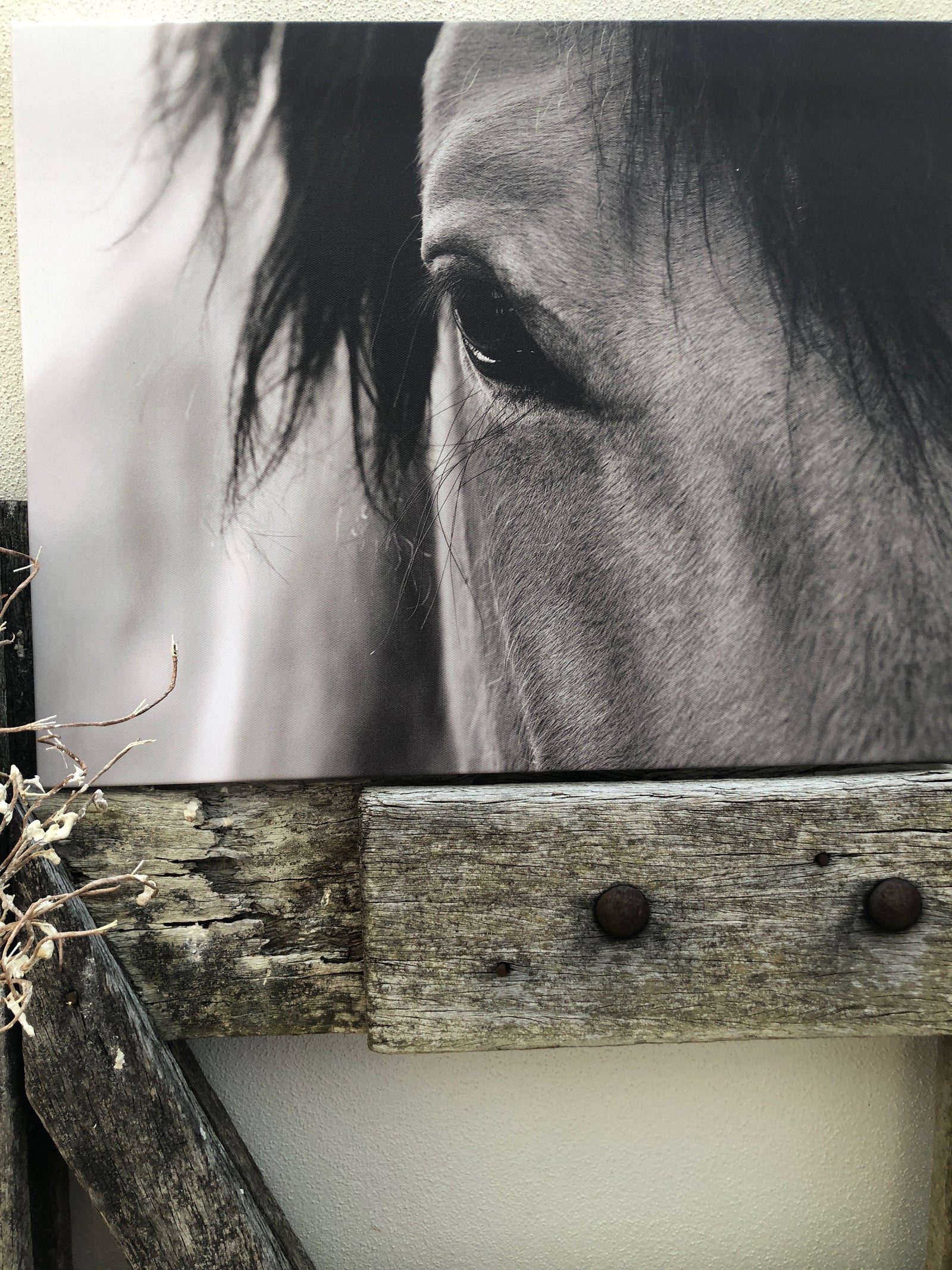 Wild Horse Canvas - Surf meets Southwest