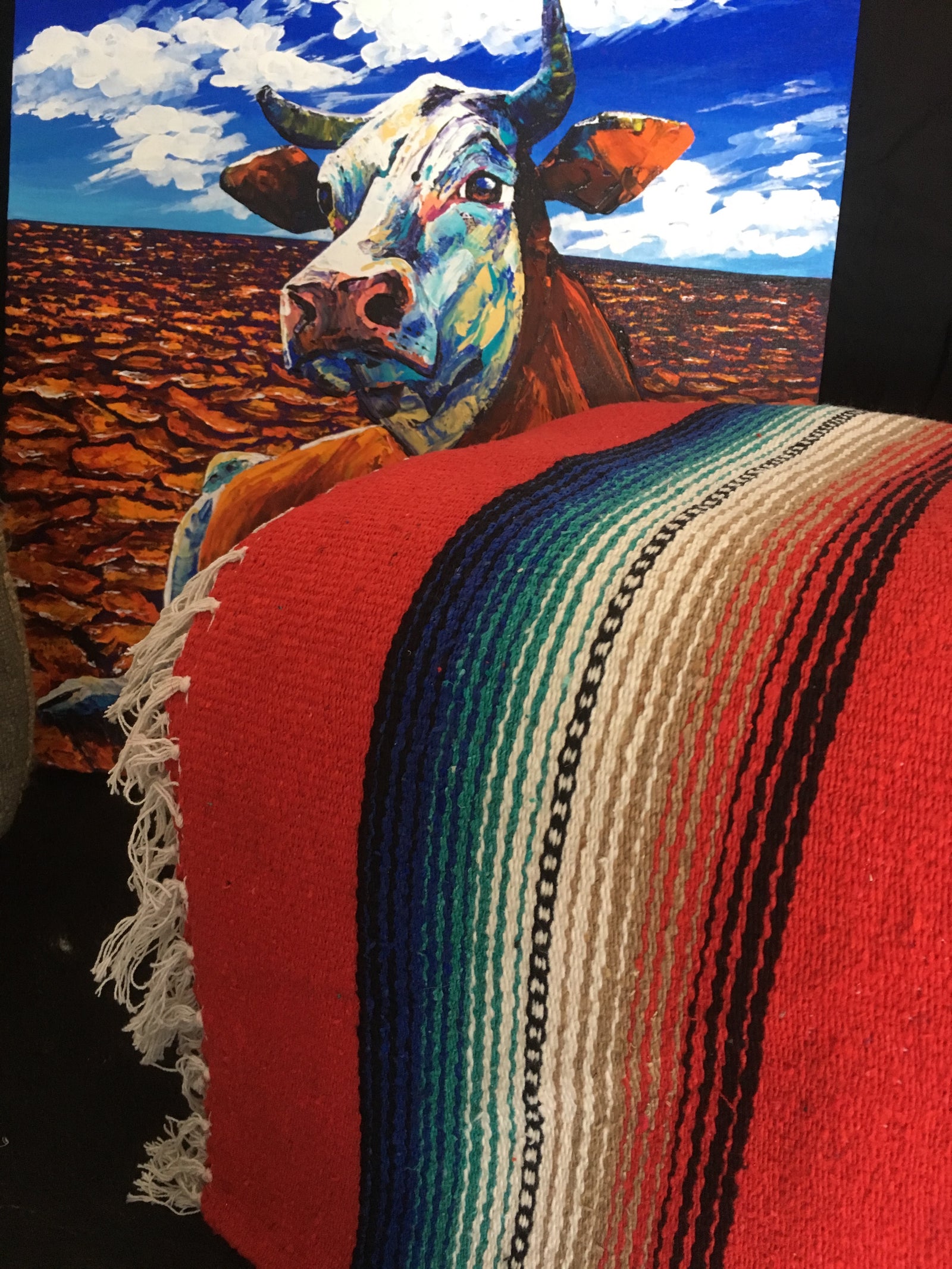 Bravo Blankets - Surf meets Southwest